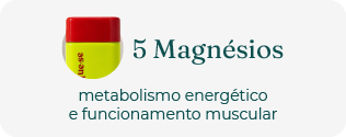 5 Magn&eacute;sios